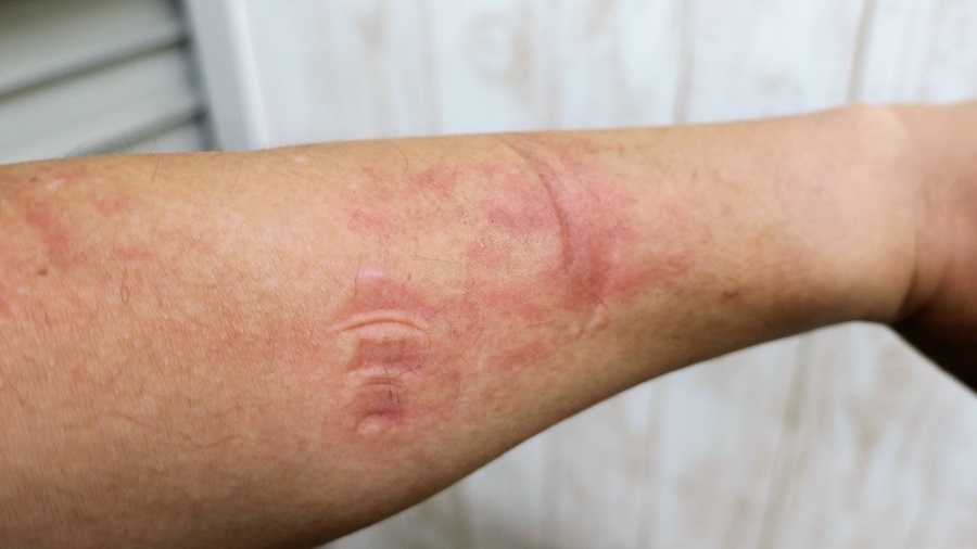 z32O2センサーの交換