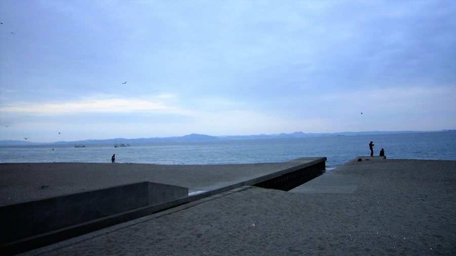 Z32 Force Contest in ソレイユの丘