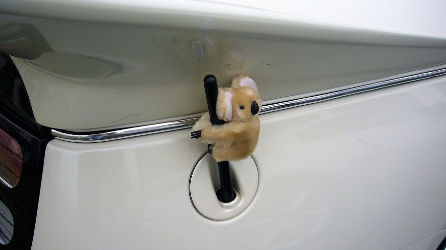 Z32FALCON in 東京おシャンティナイト