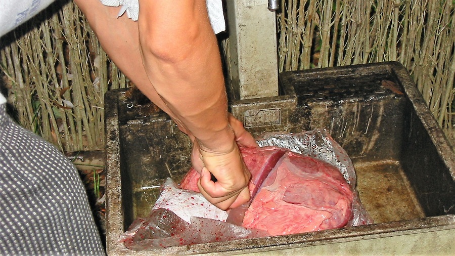 Z32千葉県内浦山県民の森BBQオフ