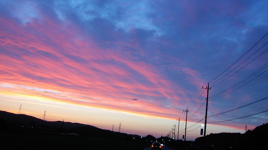 Z32千葉県内浦山県民の森BBQオフ