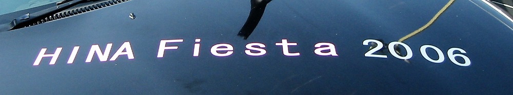 Z32 HINA Fiesta 2006 オートウェーブ新山下店