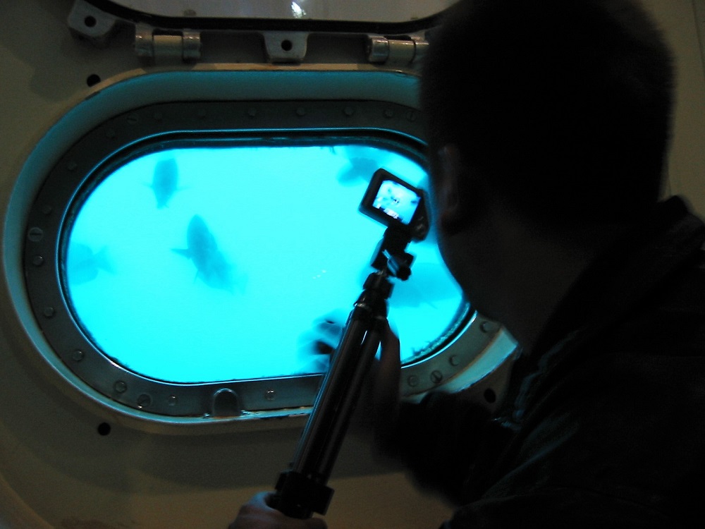 Z32南房総プチツーリングオフ