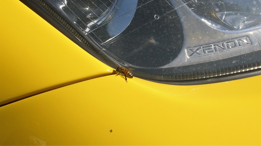 Z32春の南房総ツーリング2009