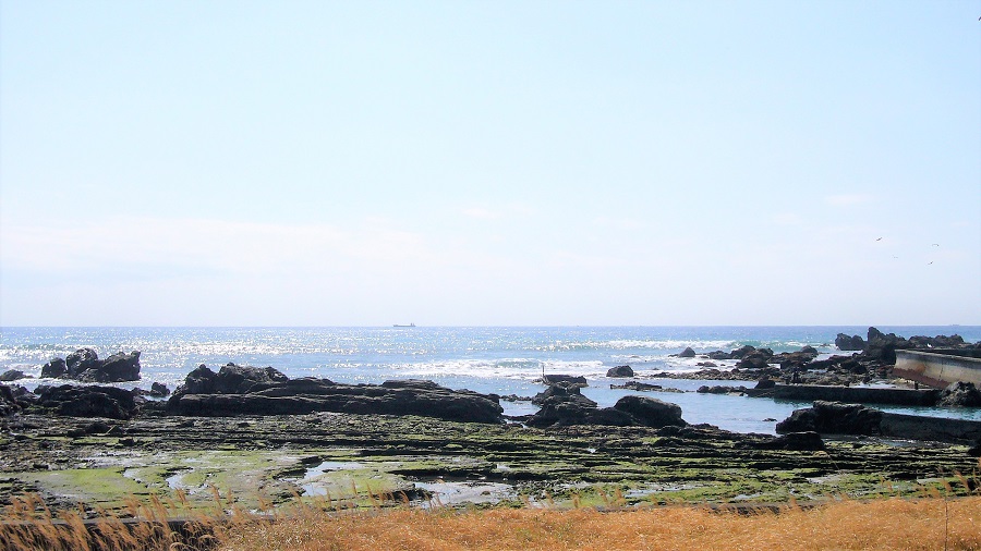 Z32春の南房総ツーリング2009